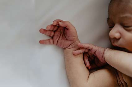 Absolute Sleep Bundle